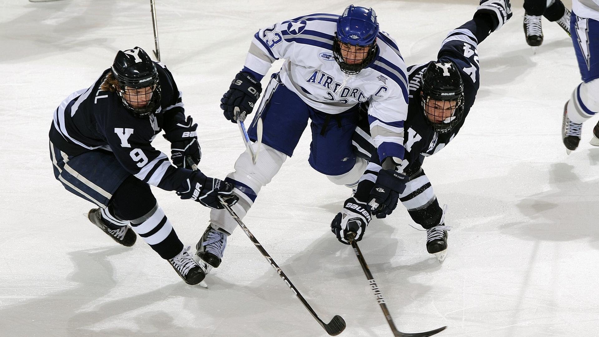 体育公益携手同行,爱心赛事点燃希望之光